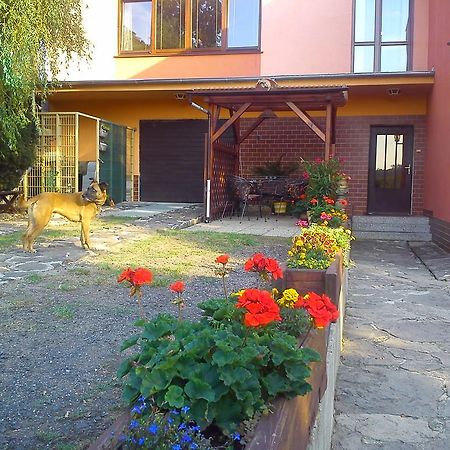 Apartments Ceske Stredohori Teplice Værelse billede