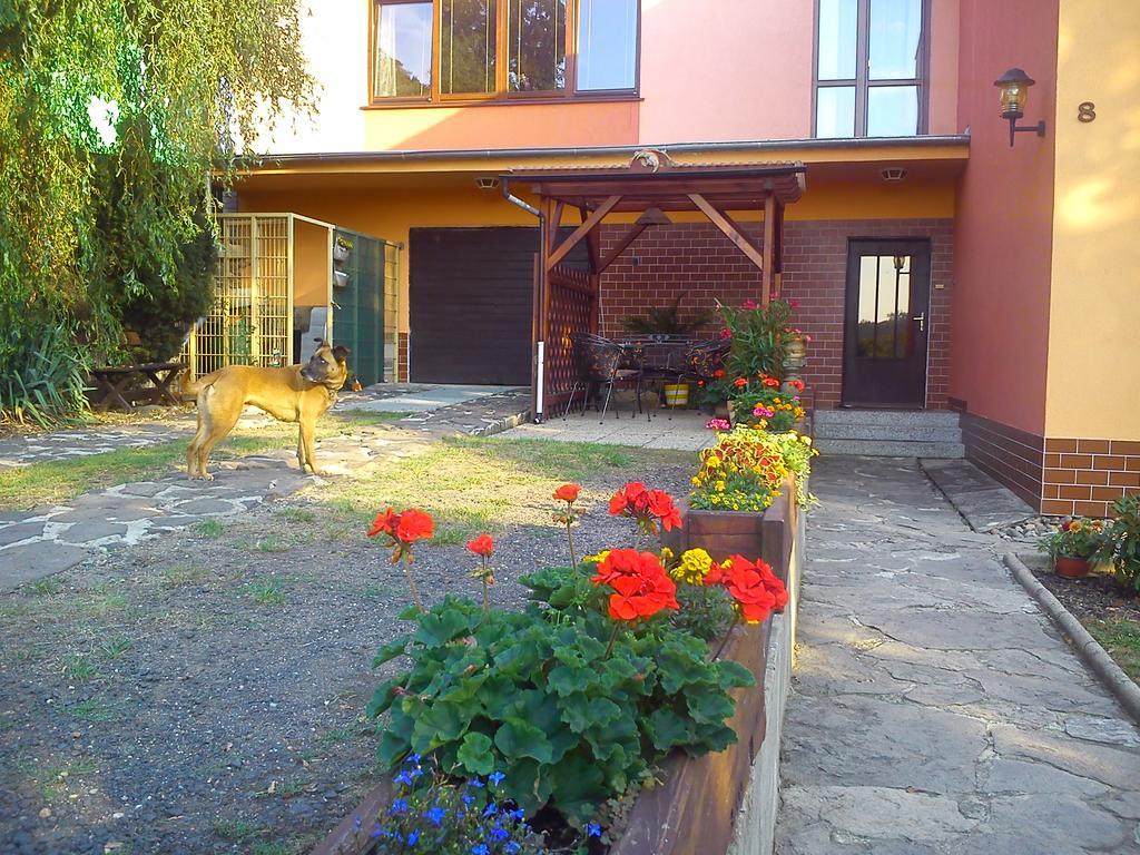 Apartments Ceske Stredohori Teplice Værelse billede